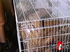 Succubus sindee coxx strapon banged in raunchy threeway